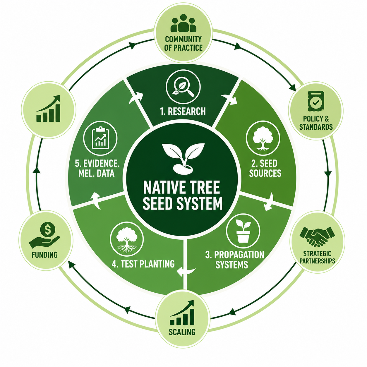 Building Africa's Native Tree Seed System
